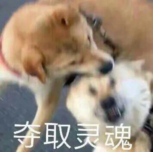 🐕 Стикер «yishanyishanliangjingjing» для Telegram