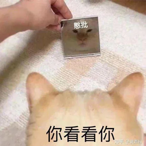 🐈 Стикер «yishanyishanliangjingjing» для Telegram