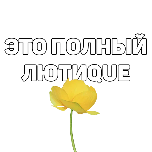 134 ук рф