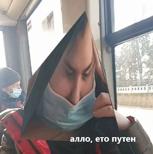 Стикерпак бабочки для Telegram — скачать