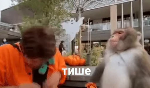 😡 Стикер «Ёшкины гифки» для Telegram