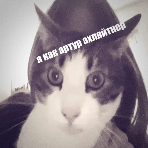 🌟 Стикер «а́ртурㅤㅤㅤㅤㅤㅤㅤㅤㅤㅤㅤ» для Telegram
