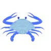 🦀 Эмодзи «Summer #timeofyear #summer #vibe» для Telegram