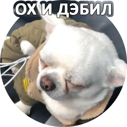 😉 Стикер «За мат извини» для Telegram