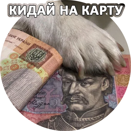😉 Стикер «За мат извини» для Telegram