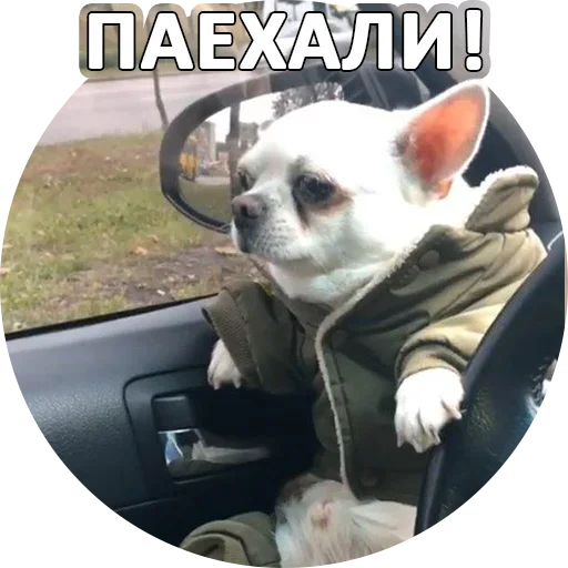 😙 Стикер «За мат извини» для Telegram