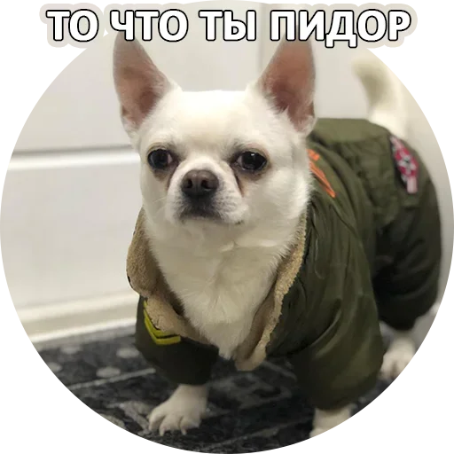 😗 Стикер «За мат извини» для Telegram
