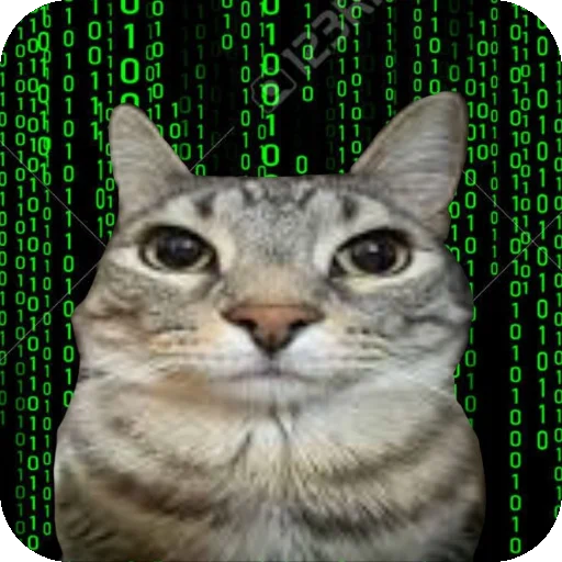🧑‍💻 Стикер «Зазу» для Telegram