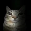 🤩 Эмодзи «Zazu All Emotes» для Telegram