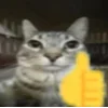 🤩 Эмодзи «Zazu All Emotes» для Telegram