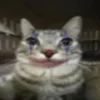 🤩 Эмодзи «Zazu All Emotes» для Telegram