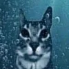 🤩 Эмодзи «Zazu All Emotes» для Telegram
