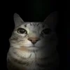 🤩 Эмодзи «Zazu All Emotes» для Telegram