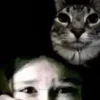 Эмодзи Zazu All Emotes для Telegram — скачать
