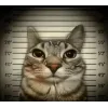 🤩 Эмодзи «Zazu All Emotes» для Telegram