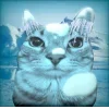 🤩 Эмодзи «Zazu All Emotes» для Telegram