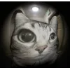 🤩 Эмодзи «Zazu All Emotes» для Telegram