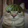 🤩 Эмодзи «Zazu All Emotes» для Telegram