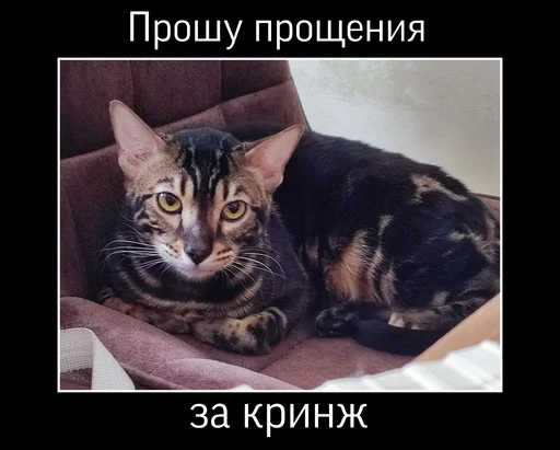 🤐 Стикер «ZEUS V 2.0» для Telegram