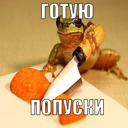 🍔 Стикер «жаби йопта» для Telegram