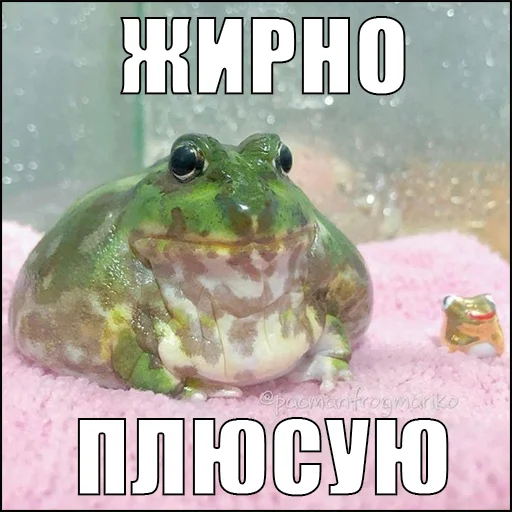 ✅ Стикер «жаби йопта» для Telegram