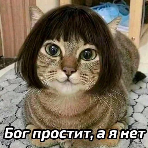 🥰 Стикер «Бабские стикеры» для Telegram