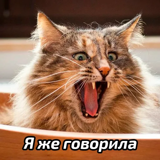 😄 Стикер «Бабские стикеры» для Telegram