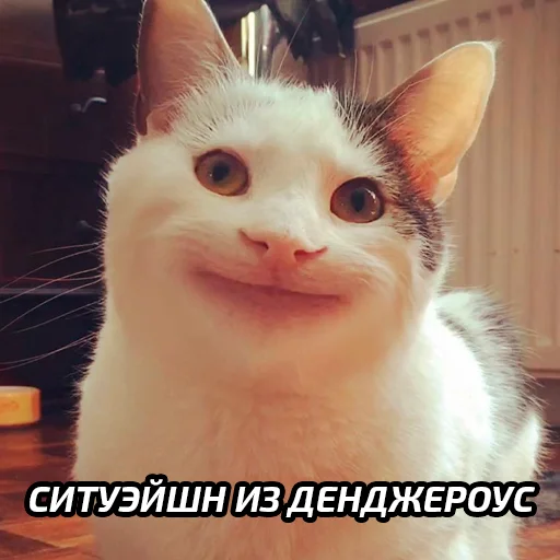 😵 Стикер «Бабские стикеры» для Telegram