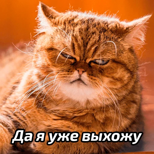 😒 Стикер «Бабские стикеры» для Telegram