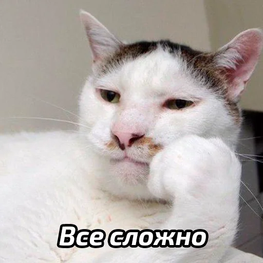 🥲 Стикер «Бабские стикеры» для Telegram