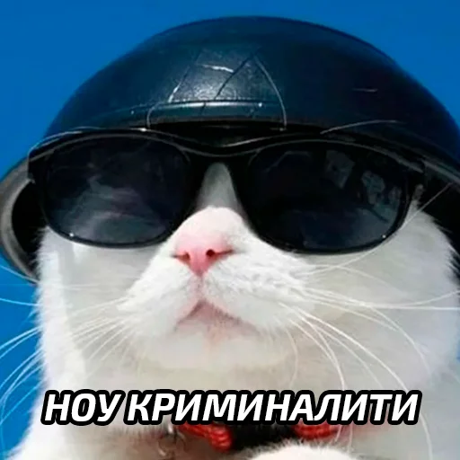 😎 Стикер «Бабские стикеры» для Telegram