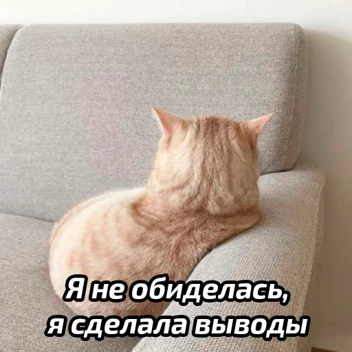 😭 Стикер «Бабские стикеры» для Telegram