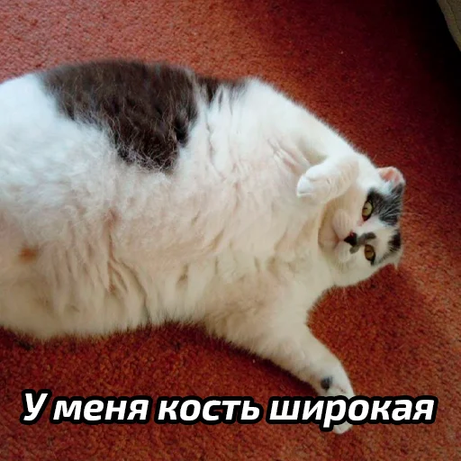 😇 Стикер «Бабские стикеры» для Telegram