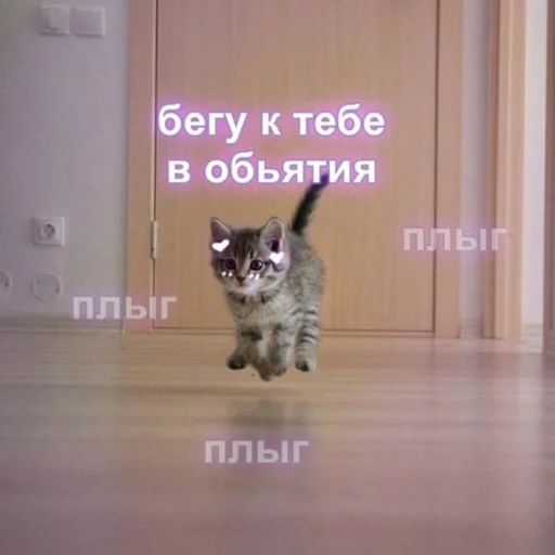 🤗 Стикер «zhenyamssongs» для Telegram
