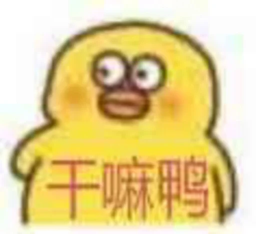 核心支付群友专享