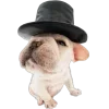 🎩 Эмодзи «Собачки» для Telegram