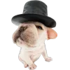 🎩 Эмодзи «Собачки» для Telegram