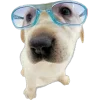🤓 Эмодзи «Собачки» для Telegram