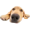 😛 Эмодзи «Собачки» для Telegram