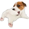 😆 Эмодзи «Собачки» для Telegram