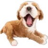 🥱 Эмодзи «Собачки» для Telegram