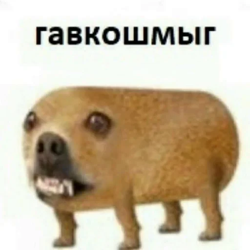 🤩 Стикер «Жиза» для Telegram