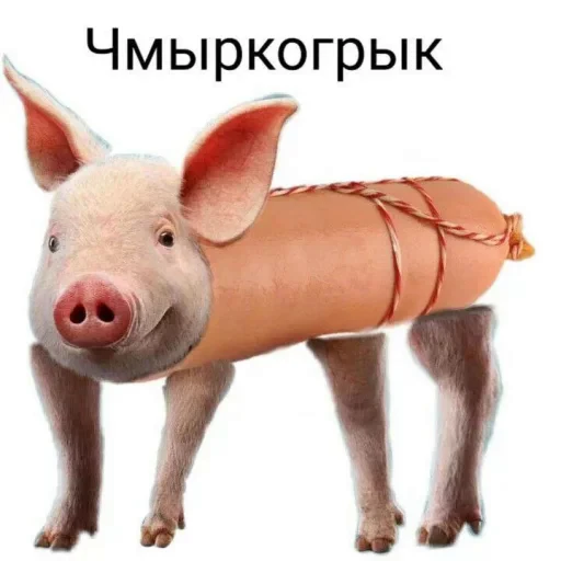 Стикерпак Жиза для Telegram — скачать