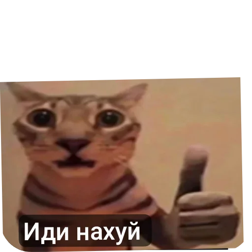 👍 Стикер «Жиза» для Telegram