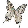 🦋 Эмодзи «中国风» для Telegram