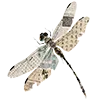 🦋 Эмодзи «中国风» для Telegram