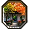 🌳 Эмодзи «中国风» для Telegram