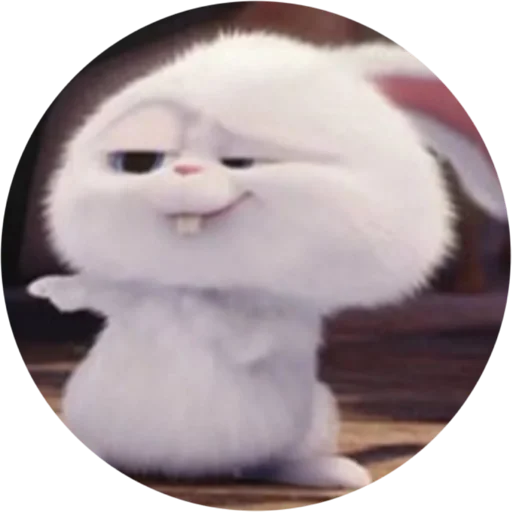 👈 Стикер «ZLAYA ZAYA» для Telegram