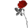 🌹 Эмодзи «Blood #color #red #black #style» для Telegram