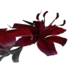 🥀 Эмодзи «Blood #color #red #black #style» для Telegram